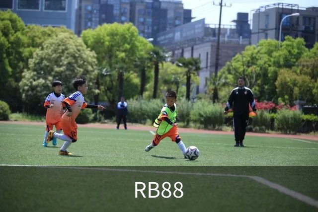 RB88公司介绍图